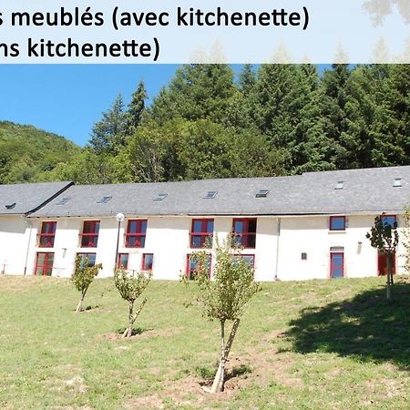 Gite Du Haut Cantal - Appartements Meubles Avec Kitchenette Et Chambres Sans Kitchenette Condat  Εξωτερικό φωτογραφία