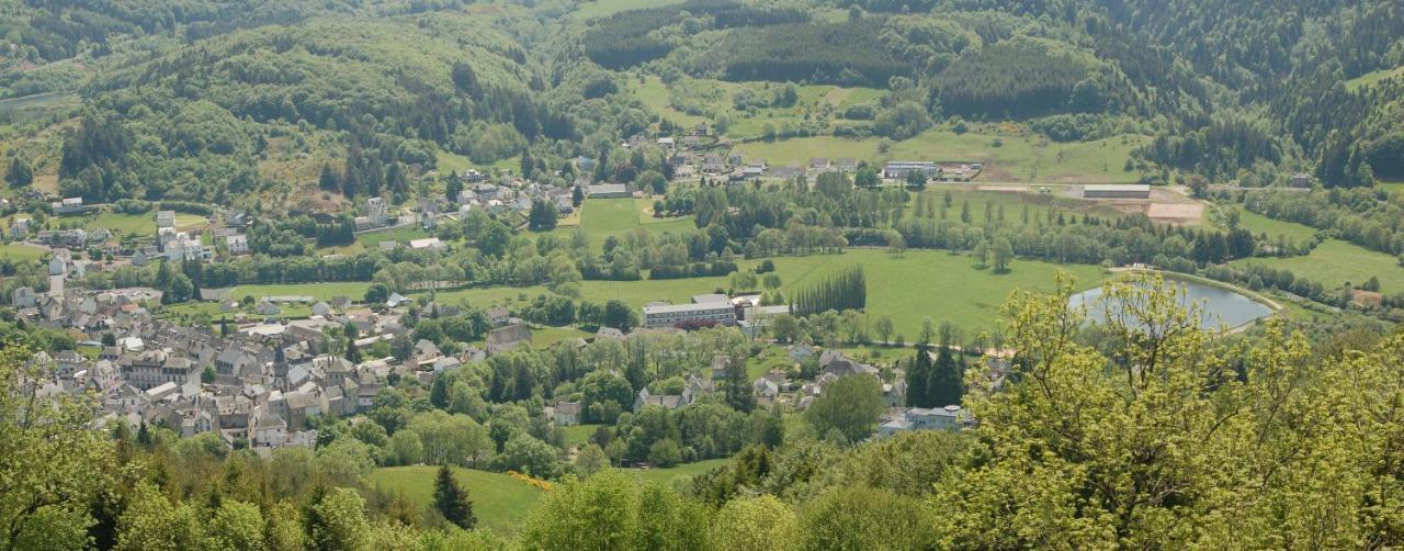 Gite Du Haut Cantal - Appartements Meubles Avec Kitchenette Et Chambres Sans Kitchenette Condat  Εξωτερικό φωτογραφία