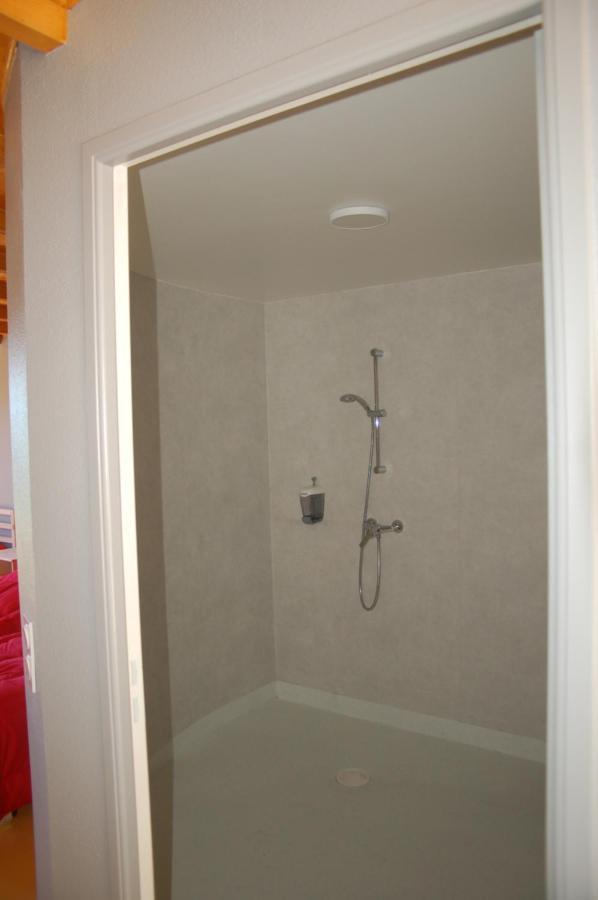Gite Du Haut Cantal - Appartements Meubles Avec Kitchenette Et Chambres Sans Kitchenette Condat  Εξωτερικό φωτογραφία