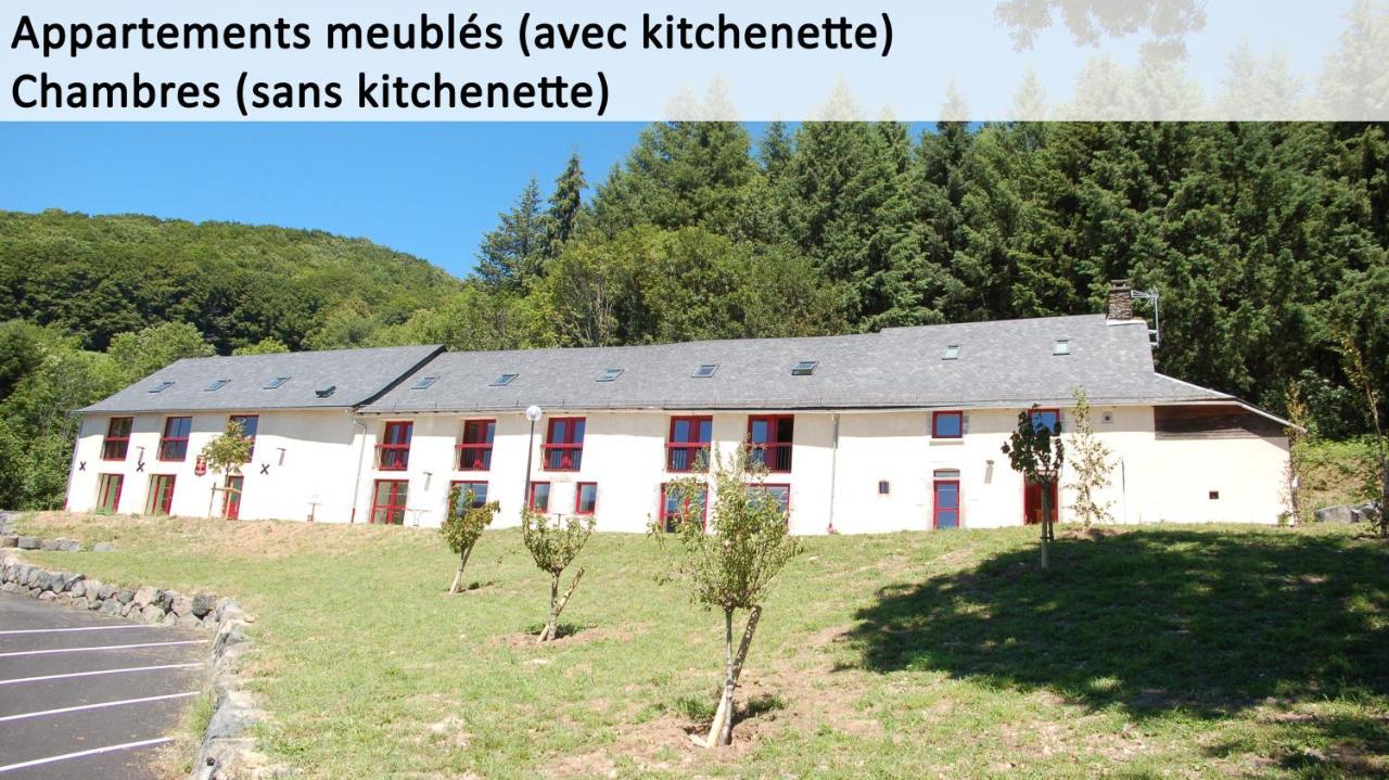 Gite Du Haut Cantal - Appartements Meubles Avec Kitchenette Et Chambres Sans Kitchenette Condat  Εξωτερικό φωτογραφία